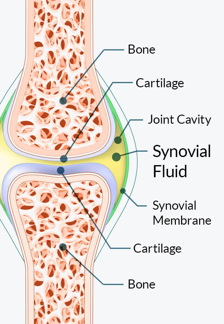 Arthronol-Joint-Supplement